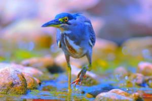 英超联赛半程积分记录，数据背后的故事英超联赛半程积分记录