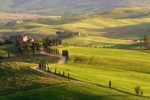 英超联赛，变革与挑战并存，未来可期英超联赛目前状况最新